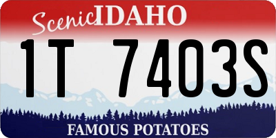 ID license plate 1T7403S