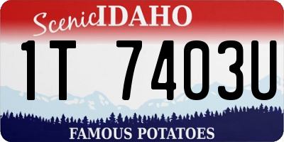 ID license plate 1T7403U