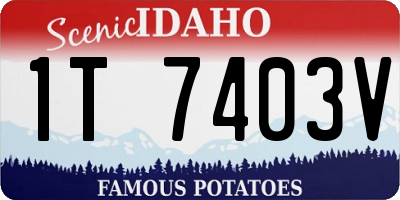 ID license plate 1T7403V