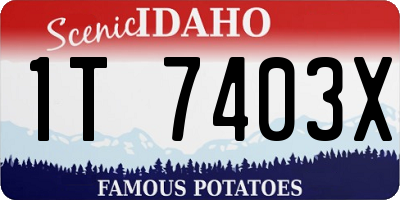 ID license plate 1T7403X