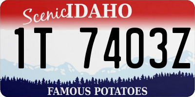 ID license plate 1T7403Z