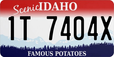 ID license plate 1T7404X