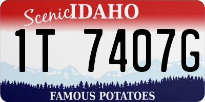 ID license plate 1T7407G
