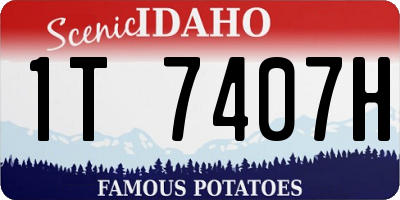 ID license plate 1T7407H