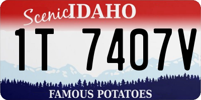 ID license plate 1T7407V