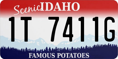 ID license plate 1T7411G