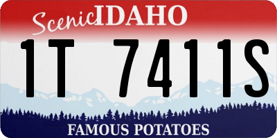ID license plate 1T7411S
