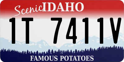 ID license plate 1T7411V