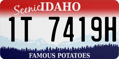 ID license plate 1T7419H
