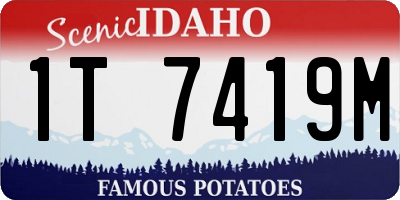 ID license plate 1T7419M