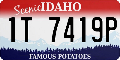 ID license plate 1T7419P