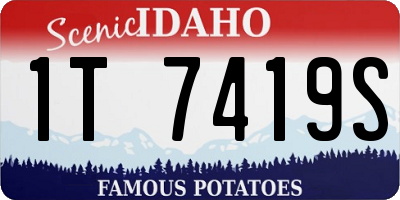 ID license plate 1T7419S