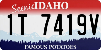 ID license plate 1T7419V