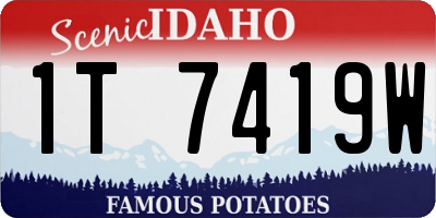 ID license plate 1T7419W