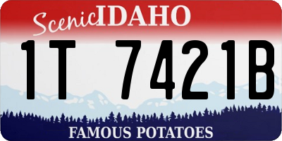 ID license plate 1T7421B