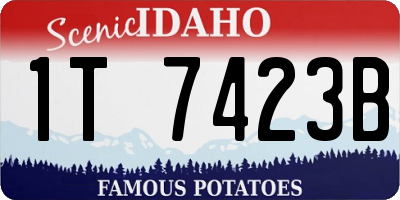 ID license plate 1T7423B