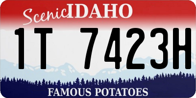 ID license plate 1T7423H