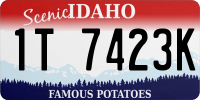 ID license plate 1T7423K