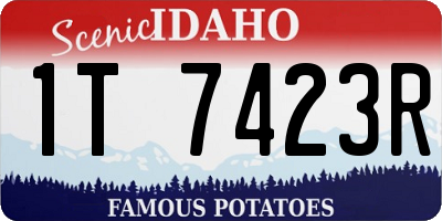 ID license plate 1T7423R