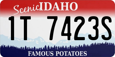 ID license plate 1T7423S