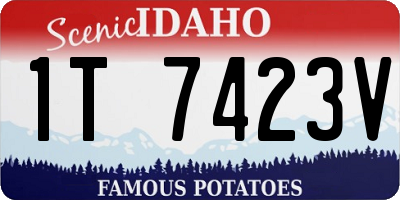 ID license plate 1T7423V