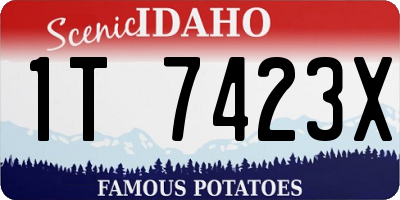 ID license plate 1T7423X