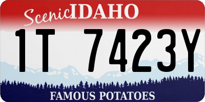 ID license plate 1T7423Y