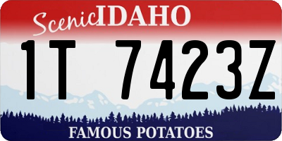 ID license plate 1T7423Z