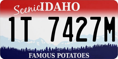 ID license plate 1T7427M