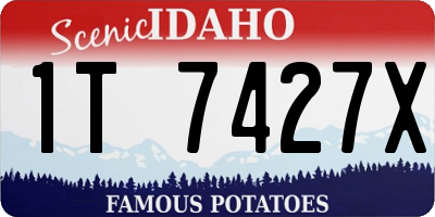 ID license plate 1T7427X