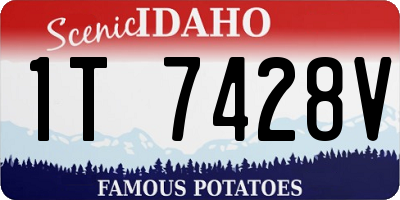 ID license plate 1T7428V