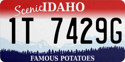 ID license plate 1T7429G