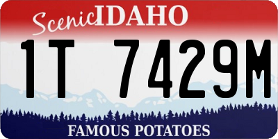ID license plate 1T7429M