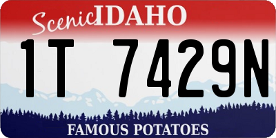 ID license plate 1T7429N