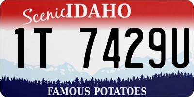 ID license plate 1T7429U