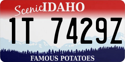 ID license plate 1T7429Z