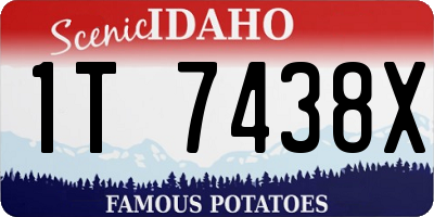 ID license plate 1T7438X