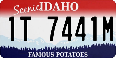ID license plate 1T7441M