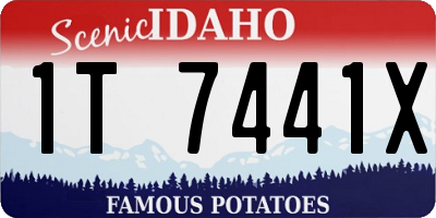 ID license plate 1T7441X