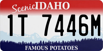 ID license plate 1T7446M
