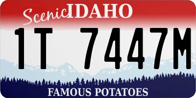 ID license plate 1T7447M