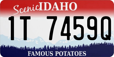 ID license plate 1T7459Q