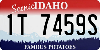 ID license plate 1T7459S