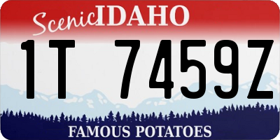 ID license plate 1T7459Z