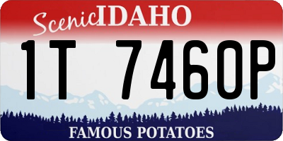ID license plate 1T7460P