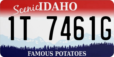 ID license plate 1T7461G