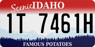 ID license plate 1T7461H