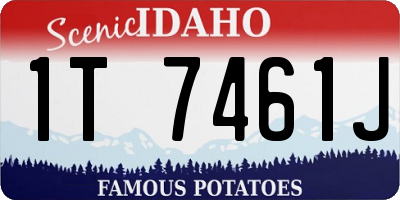 ID license plate 1T7461J