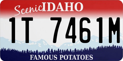 ID license plate 1T7461M