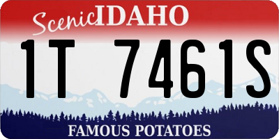 ID license plate 1T7461S